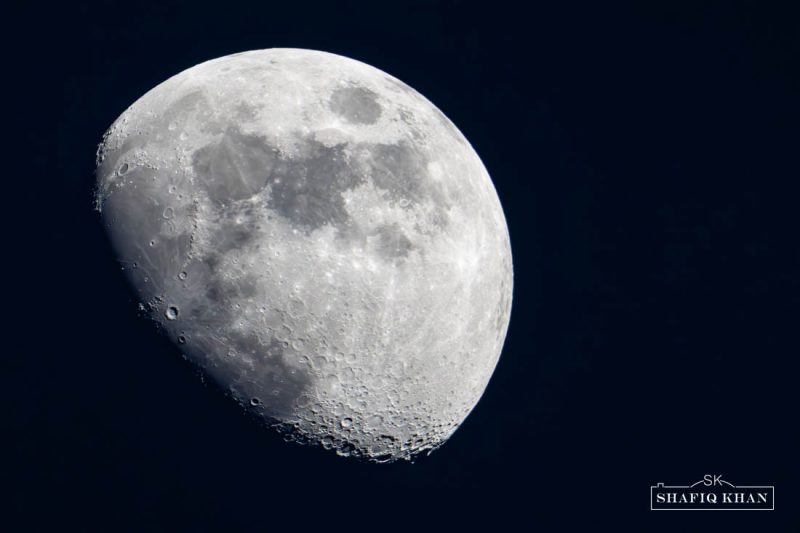 Pink Moon (April 2025)